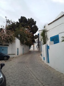 شوارع سيدي بو سعيد المميزة